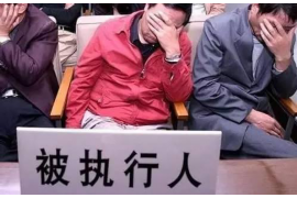 网贷催收怎么联系律师？全面解答您的疑问