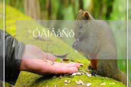 房租催收及回执单:规范租赁关系,保障双方权益 房租催收及回执单:规范租赁关系,保障双方权益