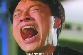 考拉生活逾期催收：揭秘逾期贷款的应对策略