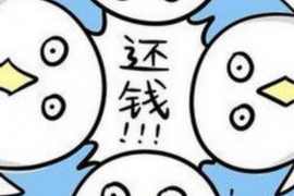 讨债怎么求助媒体：有效途径与注意事项