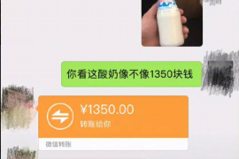 催收的意义一:维护金融秩序,保障资金安全 催收的意义一:维护金融秩序,保障资金安全