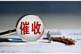 讨债公司与老赖:破解债务困境的博弈 讨债公司与老赖:破解债务困境的博弈