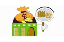 大白钱包催收提额：全面解析金融科技助力消费信贷