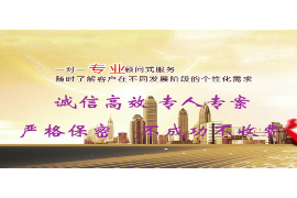 委托书讨债模板:高效解决债务纠纷的利器 委托书讨债模板:高效解决债务纠纷的利器