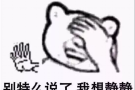 石家庄讨债公司电话多少啊？专业机构助您解决债务难题