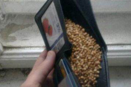 恶毒奶奶活埋孙子回来讨债:揭开人性阴暗面的悲剧 恶毒奶奶活埋孙子回来讨债:揭开人性阴暗面的悲剧