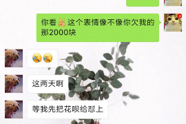 被恒昌催收骚扰：揭秘借贷平台催收乱象