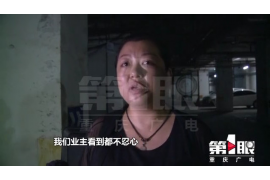 莆田讨账公司联系方式：高效解决欠款难题