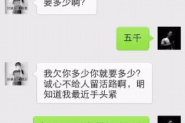 金山金融违规催收：揭秘暴力催收背后的真相