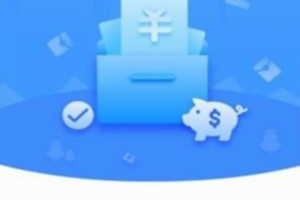 苏宁易购讨债联盟怎么样?揭秘电商巨头背后的债务危机 苏宁易购讨债联盟怎么样?揭秘电商巨头背后的债务危机