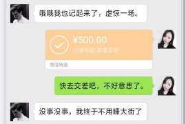 上古卷轴布林乔夫讨债:揭秘游戏中的财务纠纷与解决之道 上古卷轴布林乔夫讨债:揭秘游戏中的财务纠纷与解决之道