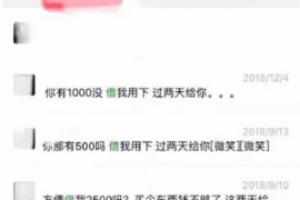 我的世界甘蔗怎么催收？高效种植攻略大揭秘