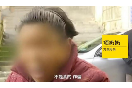 金山屯要钱公司：全方位金融服务，助力企业发展